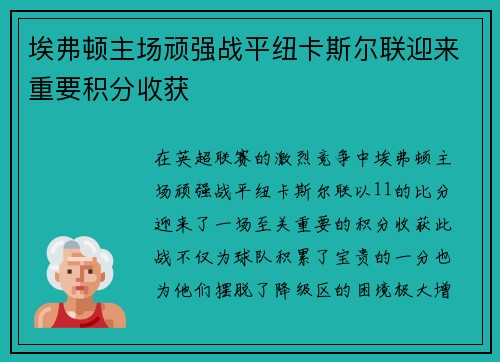 埃弗顿主场顽强战平纽卡斯尔联迎来重要积分收获
