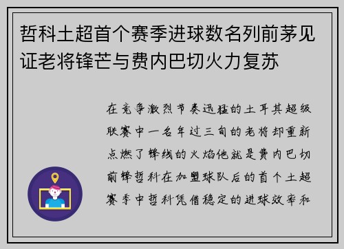 哲科土超首个赛季进球数名列前茅见证老将锋芒与费内巴切火力复苏